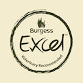 Burgess Excel